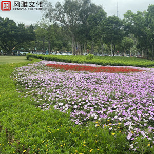 二次元全祼❌㊙️动漫
